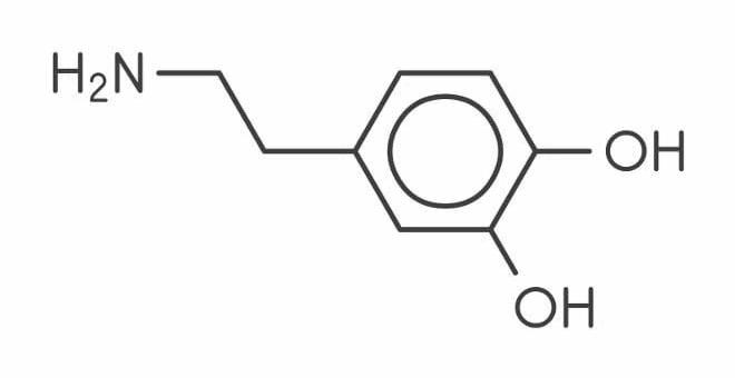 dopamina 600x336