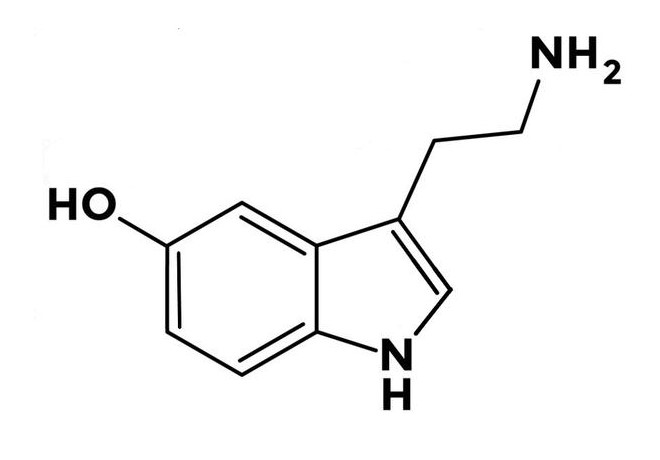 serotonina600x393